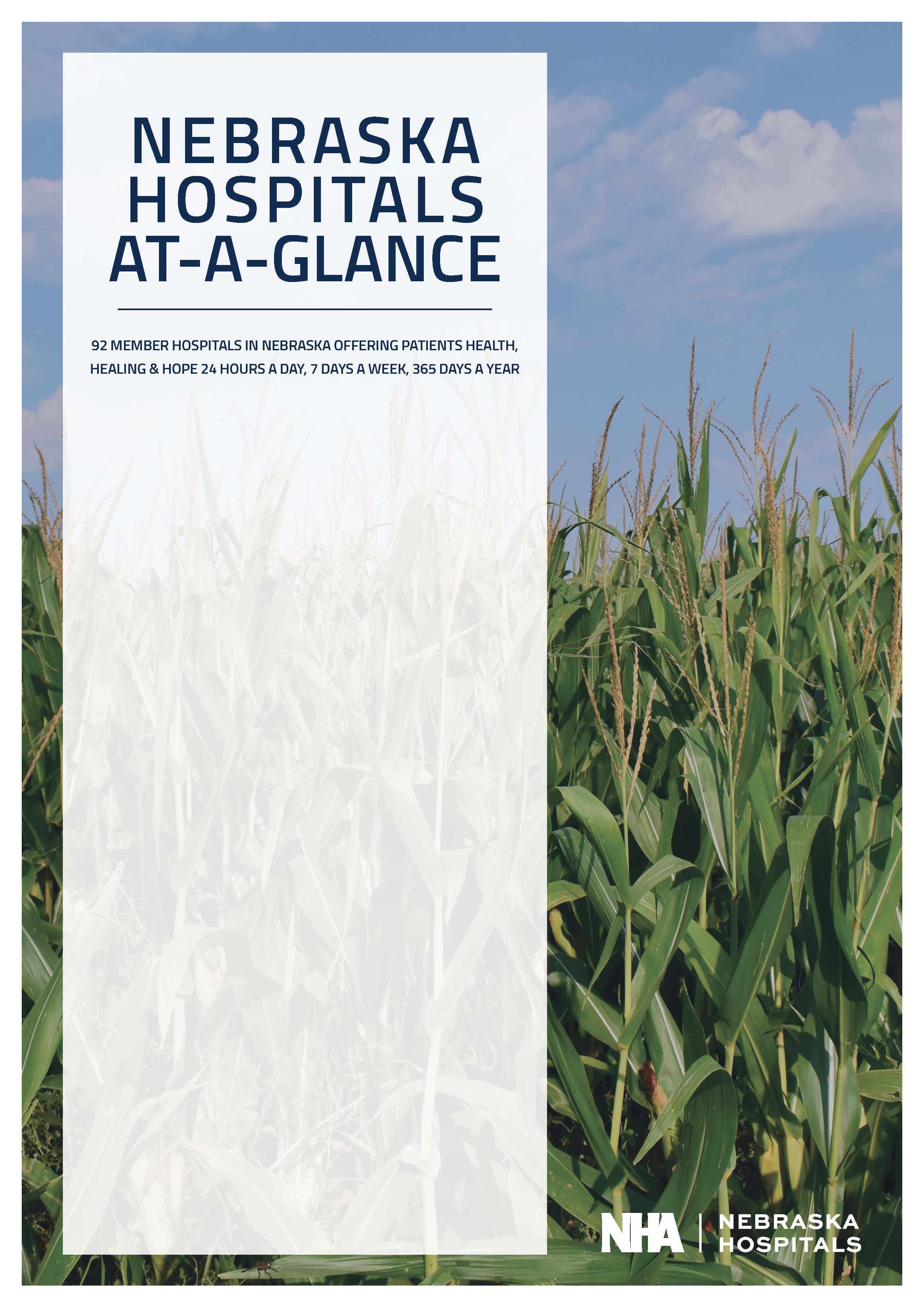 NE Hospitals At A Glance