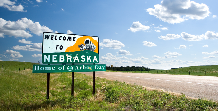 March 11 Article Image