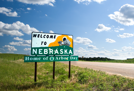 March 11 Article Image